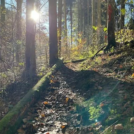 Sofie Apartamento Mastershausen