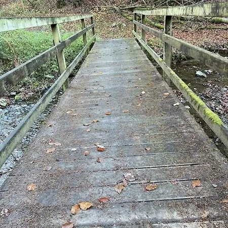 Sofie * Mastershausen