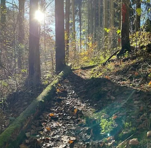 Sofie Apartment Mastershausen