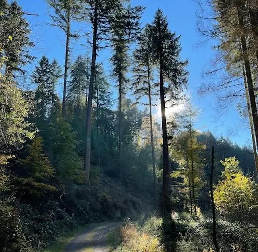 Sofie Apartment Mastershausen