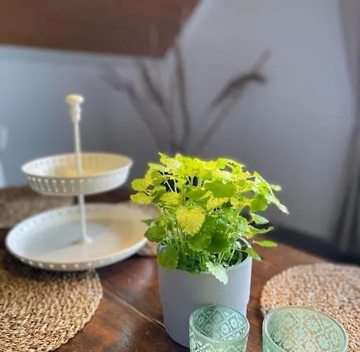 Apartment Sofie Mastershausen