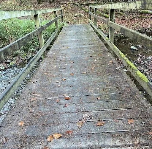 Sofie * Mastershausen